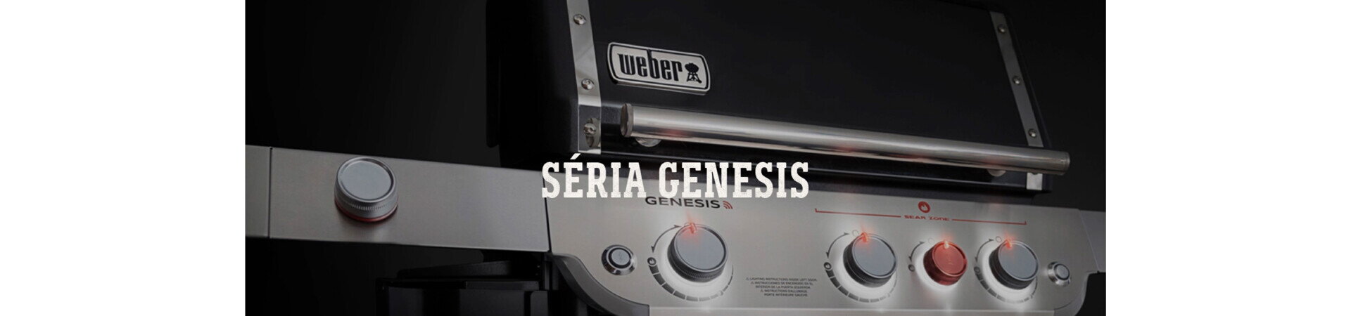 Weber Genesis II.