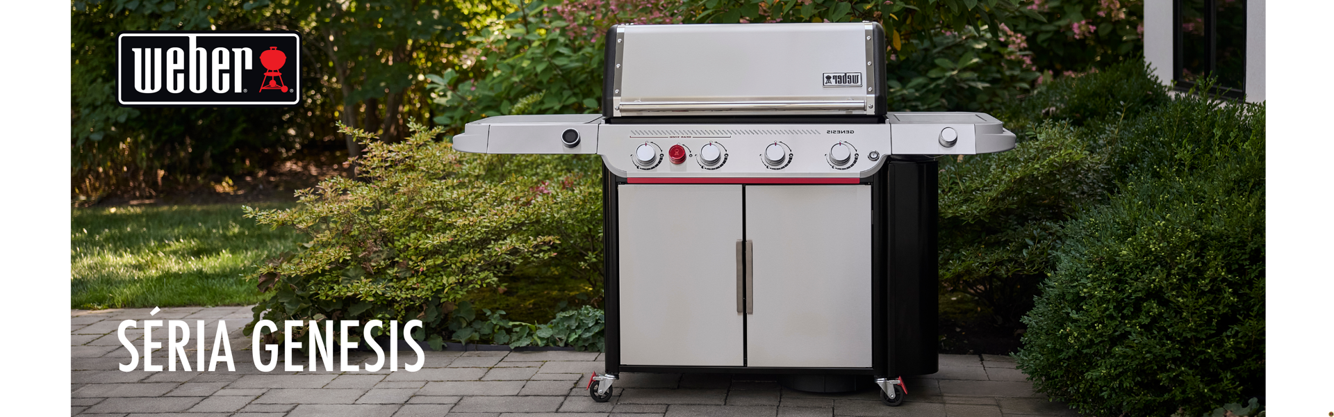 WEBER GENESIS